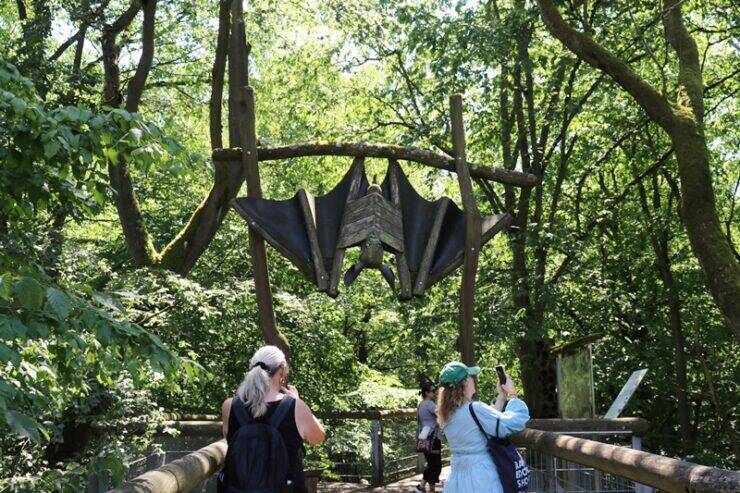 古城とビールだけじゃないドイツへ。世界遺産の森を歩くハイニッヒ国立公園への旅