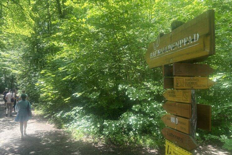 古城とビールだけじゃないドイツへ。世界遺産の森を歩くハイニッヒ国立公園への旅