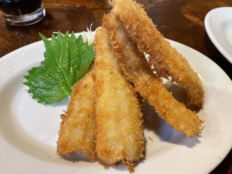 【日本居酒屋紀行】住宅街にひっそりと佇む創業100年を超える最高の居酒屋 / 愛知県豊橋市の「福島屋」