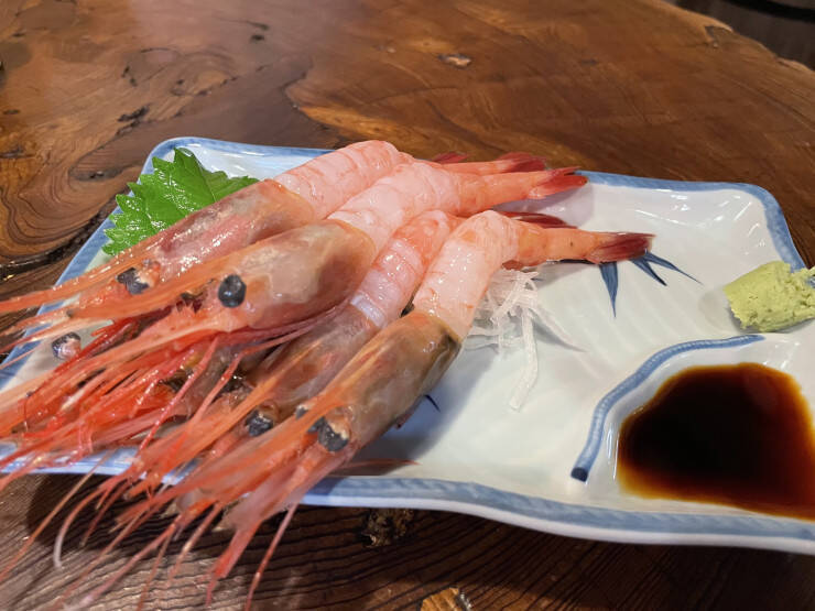 【日本居酒屋紀行】住宅街にひっそりと佇む創業100年を超える最高の居酒屋 / 愛知県豊橋市の「福島屋」