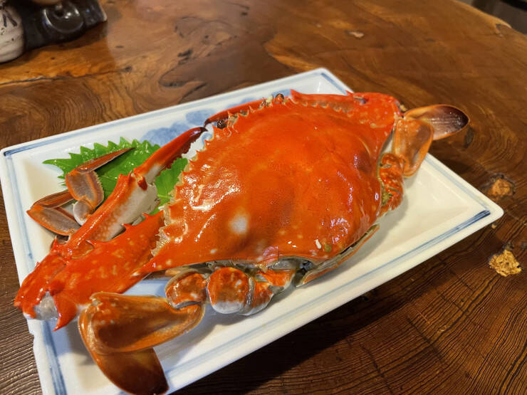 【日本居酒屋紀行】住宅街にひっそりと佇む創業100年を超える最高の居酒屋 / 愛知県豊橋市の「福島屋」