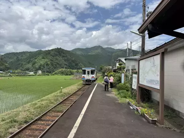 「【日本麺紀行】築150年の古民家で味わう！「うだつの上がる町並み」の名店で堪能する石臼挽き手打ち蕎麦とは？ / 岐阜県美濃市の「そば切り まる伍」」の画像