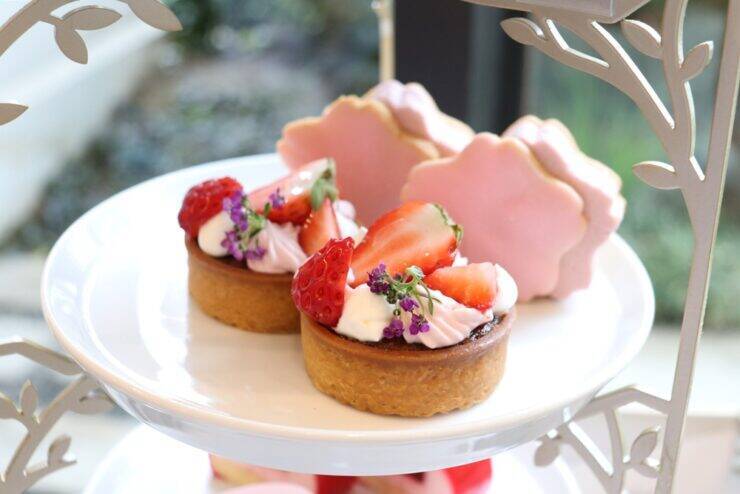 旬のいちごを楽しめる桜色のストロベリーアフタヌーンティー｜ストリングスホテル 名古屋 ニューヨークラウンジ