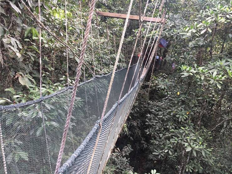 マレーシアの世界遺産、ボルネオ島・コタキナバルにある「キナバル自然公園」で味わう大自然の神秘