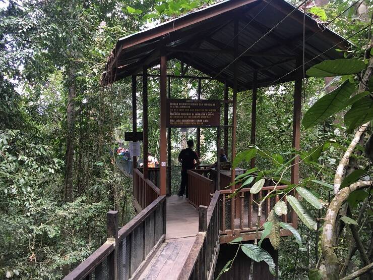 マレーシアの世界遺産、ボルネオ島・コタキナバルにある「キナバル自然公園」で味わう大自然の神秘