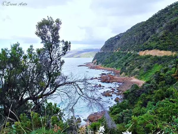 「【世界の絶景】オーストラリア・ビクトリア州にある世界一美しい道路「グレート・オーシャン・ロード」とは？」の画像