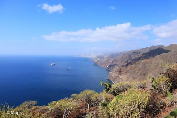 カナリア諸島の島 ヨーロピアンのバカンス先として人気なテネリフェ島ってどんな場所 19年3月3日 エキサイトニュース