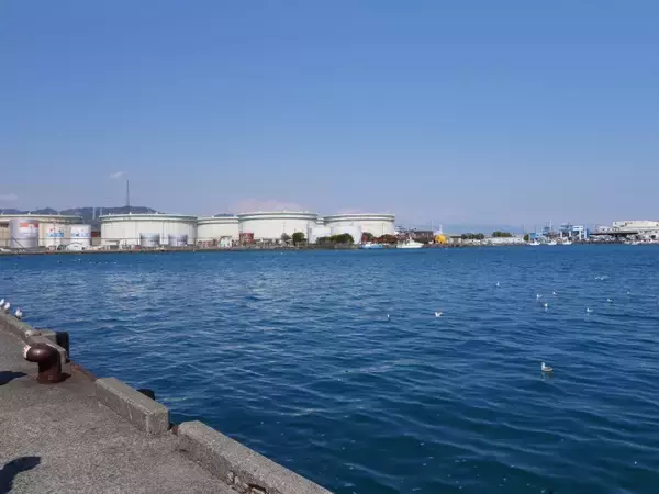 マグロの水揚げ量日本一を誇る清水港で味わう絶品のお刺身定食 / 静岡市清水区の「河岸の市」