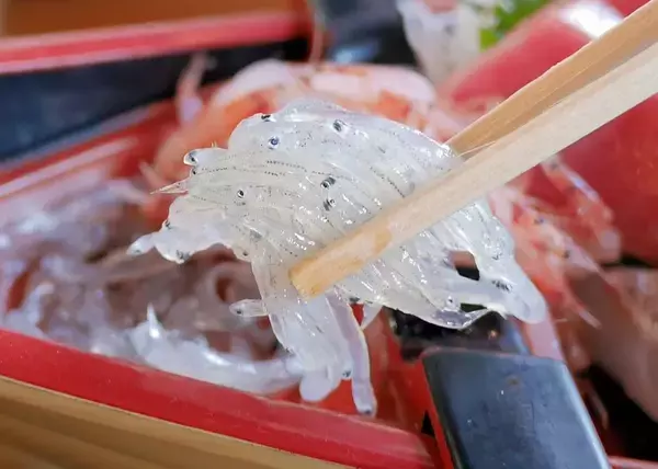 「マグロの水揚げ量日本一を誇る清水港で味わう絶品のお刺身定食 / 静岡市清水区の「河岸の市」」の画像