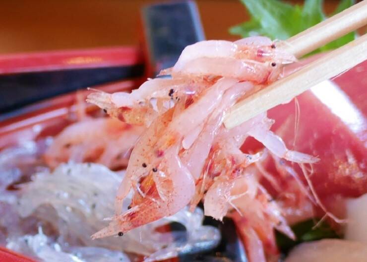 マグロの水揚げ量日本一を誇る清水港で味わう絶品のお刺身定食 / 静岡市清水区の「河岸の市」