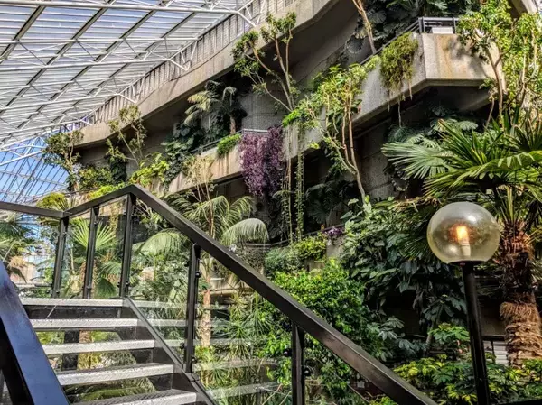 「まるでラピュタの世界…ロンドン中心部の巨大文化施設にある温室「バービカン・コンサバトリー」」の画像