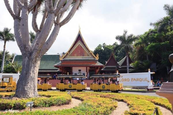 スペイン テネリフェ島の人気アトラクションといえばコレ 動物園と水族館 植物園が融合した ロロパーク 19年4月9日 エキサイトニュース スペイン テネリフェ島の人気アトラクションといえばコレ 動物園と水族館 植物園が融合した ロロパーク 19年4月9日 エキサイトニュース