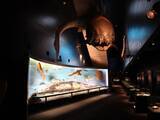 「激レアな生き物たちに出会える！東北最大の体験型水族館「アクアマリンふくしま」」の画像2