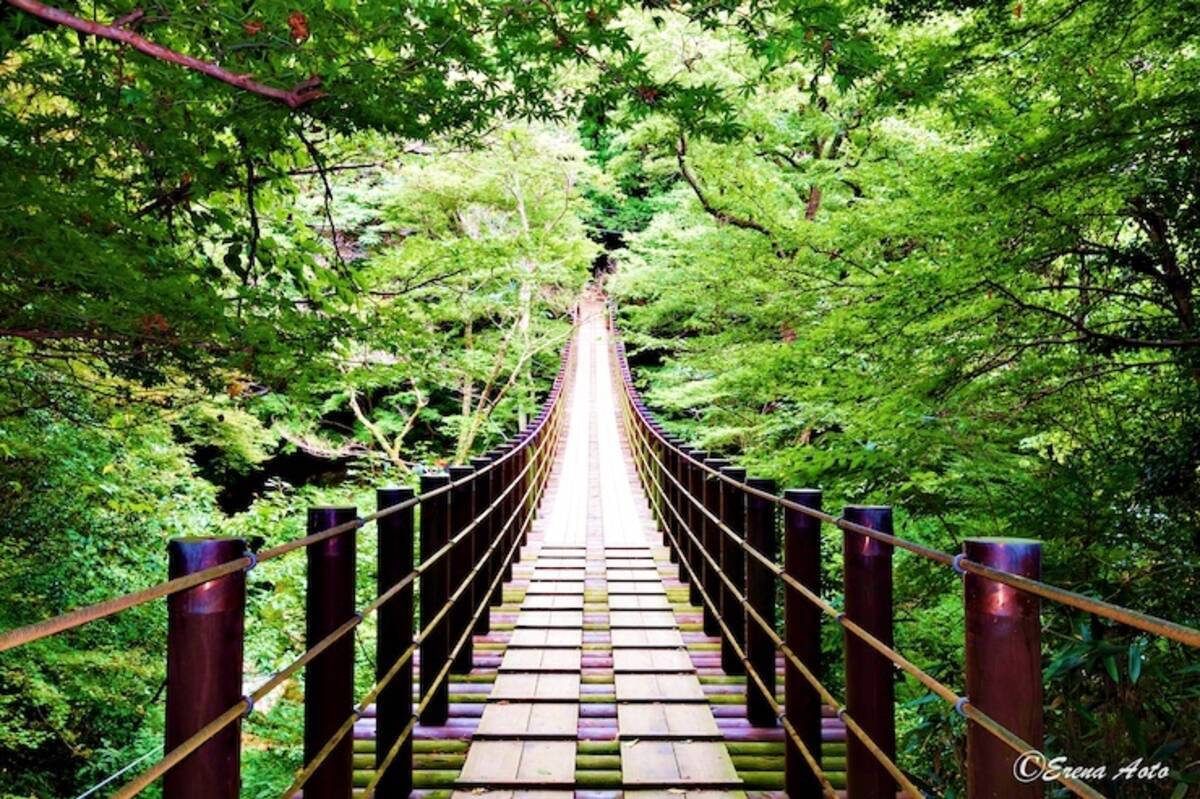 ニッポンの絶景 知られざる日本の絶景 茨城県高萩市の花貫渓谷 はなぬきけいこく 19年9月14日 エキサイトニュース