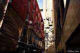 「【世界のストリートアート】シドニーのストリートに吊り下げられた無数の鳥かごの意味とは？ / オーストラリア・エンジェルプレイスの「FORGOTTEN SONGS （忘れられた歌）」」の画像3