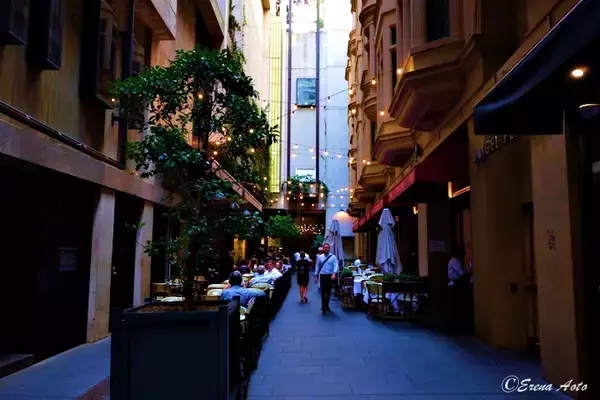 「【世界のストリートアート】シドニーのストリートに吊り下げられた無数の鳥かごの意味とは？ / オーストラリア・エンジェルプレイスの「FORGOTTEN SONGS （忘れられた歌）」」の画像