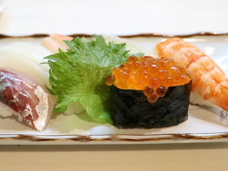 外出自粛明けに行きたい！京都駅近くでおいしいお寿司と和食を手頃に楽しめる「とみせん」