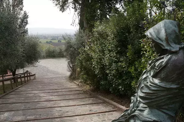 「スローツーリズムの聖地　イタリア、アッシジの葡萄畑を歩く」の画像