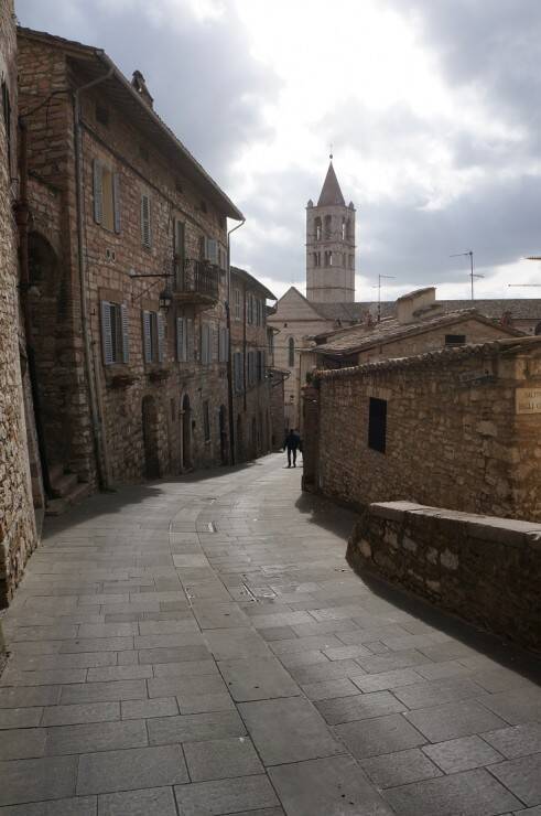 スローツーリズムの聖地　イタリア、アッシジの葡萄畑を歩く