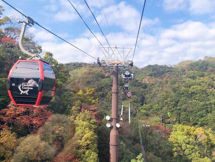 絶景も料理も堪能 新神戸駅からロープウェイで簡単アクセス 神戸布引ハーブ園 の魅力 年11月23日 エキサイトニュース