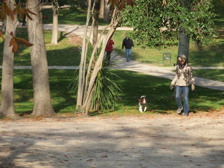 マドリードで最も大きなランドマーク レティーロ公園 にある世界で唯一悪魔を題材にした彫像 落ちた天使 を探す 17年6月18日 エキサイトニュース