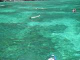 「エメラルドグリーンの絶景ビーチ！タイ・ピピ島のマヤベイは息をのむほどの美しさ」の画像15
