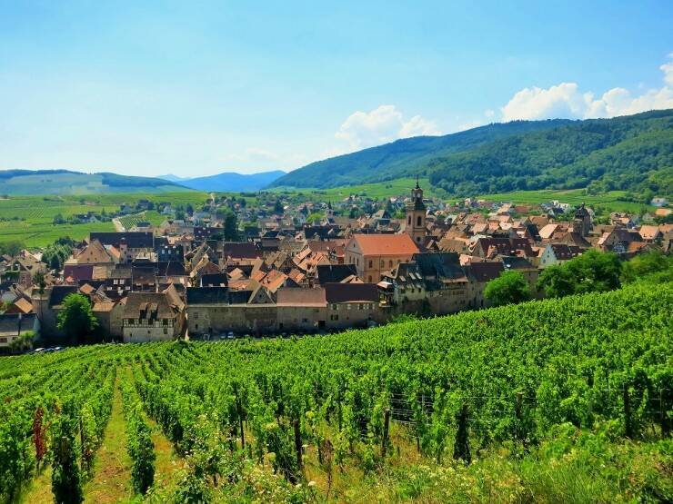 誰もが恋する「ブドウ畑の真珠」、フランスの最も美しい村・リクヴィルが可愛いすぎ！