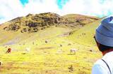 「【世界の絶景】ペルー・標高5030ｍのレインボーマウンテン」の画像6