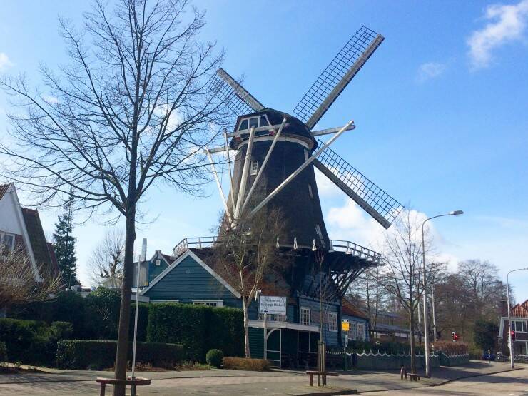世界の美食 伝統的風車小屋レストランで 絶品オランダ料理をたのしむ オランダ アムステルダムの デ ヨン ディッカート De Jonge Dikkert 2017年6月2日 エキサイトニュース