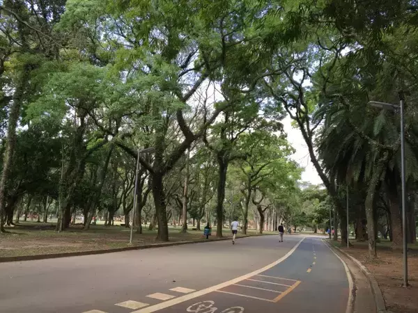 「ブラジル・サンパウロっ子の憩いの場、イビラプエラ公園で森林浴を楽しむ」の画像