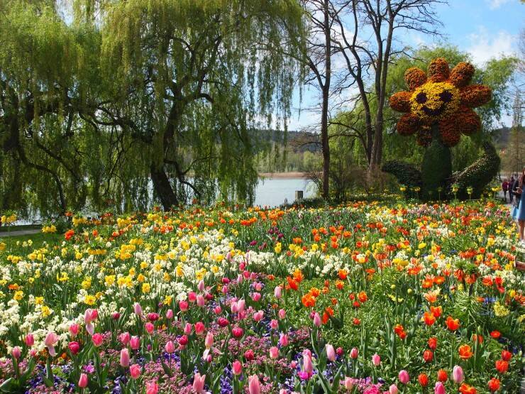 世界の絶景 オランダのキューケンホフにも負けない ドイツにある 花の島 マイナウ島で咲き乱れるチューリップはまさに絶景 17年5月21日 エキサイトニュース