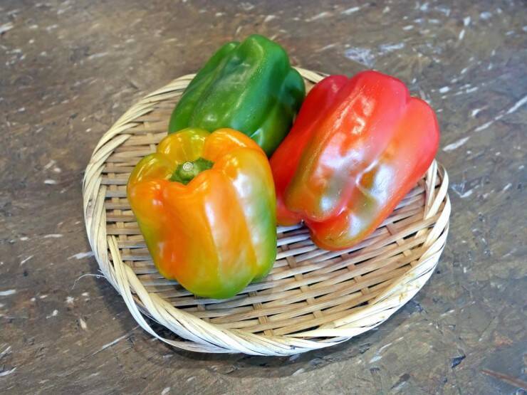 宮崎の郷土料理を堪能できる！宮崎県日南市「塚田農場」の春の新メニューが4月24日から新登場！