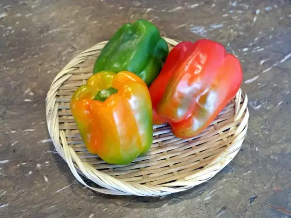 「宮崎の郷土料理を堪能できる！宮崎県日南市「塚田農場」の春の新メニューが4月24日から新登場！」の画像