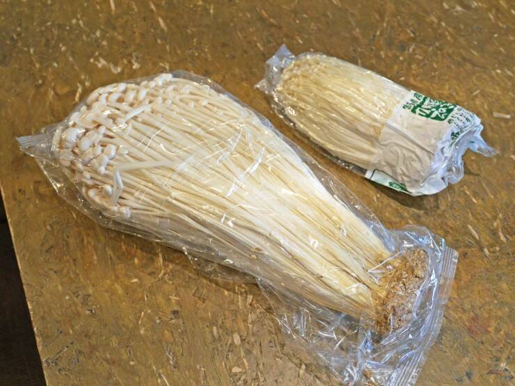 宮崎の郷土料理を堪能できる！宮崎県日南市「塚田農場」の春の新メニューが4月24日から新登場！