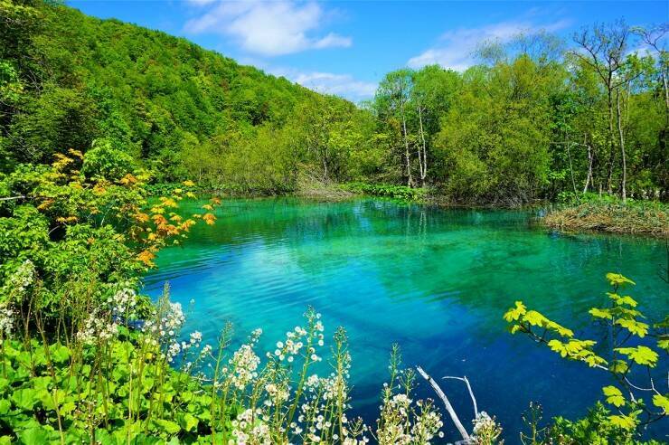 【世界の絶景】水と緑の楽園が見せる絶景！クロアチアの世界遺産・プリトヴィツェ湖群国立公園