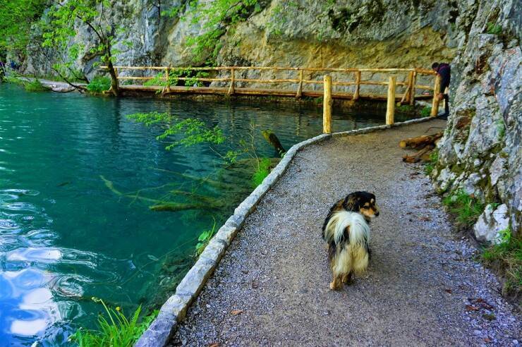 【世界の絶景】水と緑の楽園が見せる絶景！クロアチアの世界遺産・プリトヴィツェ湖群国立公園