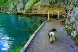 「【世界の絶景】水と緑の楽園が見せる絶景！クロアチアの世界遺産・プリトヴィツェ湖群国立公園」の画像6