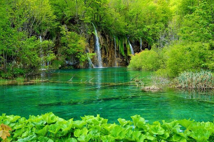 【世界の絶景】水と緑の楽園が見せる絶景！クロアチアの世界遺産・プリトヴィツェ湖群国立公園