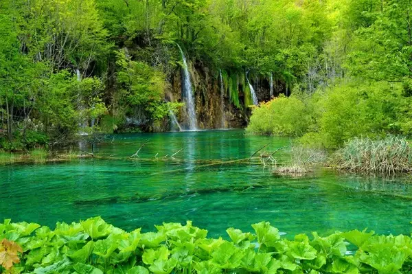 「【世界の絶景】水と緑の楽園が見せる絶景！クロアチアの世界遺産・プリトヴィツェ湖群国立公園」の画像