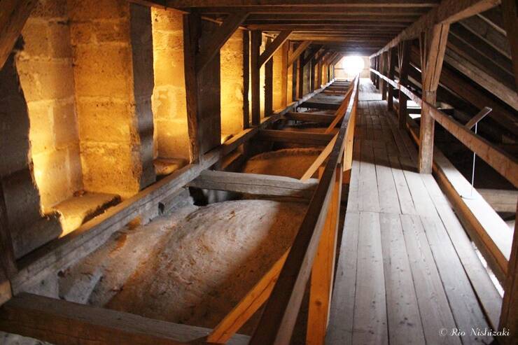 パステルカラーの光の教会 / チェコ・クトナーホラの聖母マリア大聖堂は外観とのギャップが凄い！