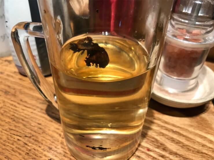 名古屋の出張族の隠れ家といえばココ！名古屋駅からすぐのセンベロ、くずし割烹「肴屋 八兵衛」