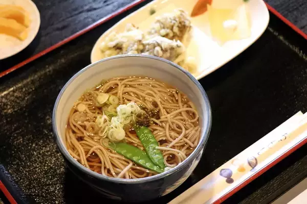 「【日本の絶景】江戸時代にタイムスリップしたような気分になれる中山道・妻籠宿」の画像