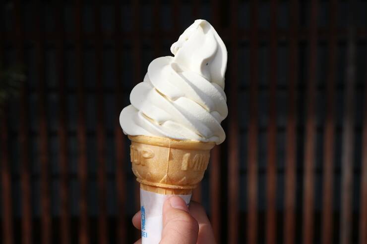 【日本の絶景】江戸時代にタイムスリップしたような気分になれる中山道・妻籠宿