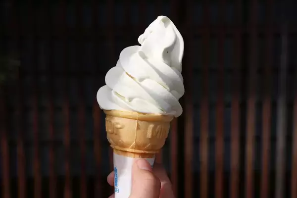 「【日本の絶景】江戸時代にタイムスリップしたような気分になれる中山道・妻籠宿」の画像