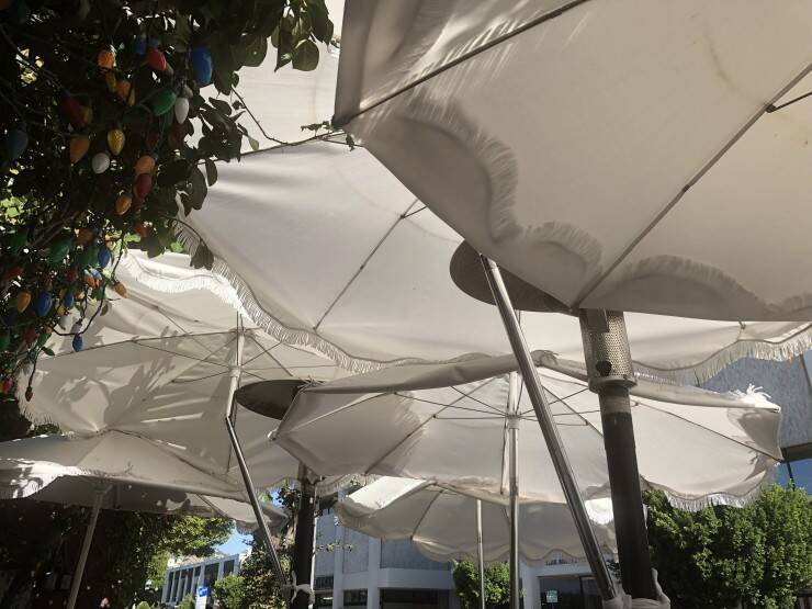 ビバヒルのセレブ御用達！ビバリーヒルズにあるアメリカン・レストラン「ジ・アイビー（The Ivy）」
