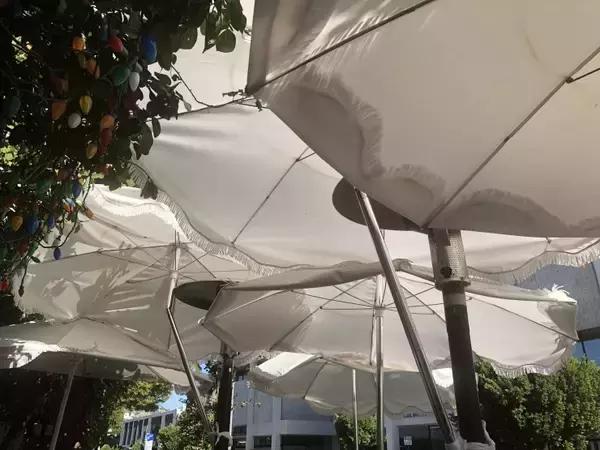 「ビバヒルのセレブ御用達！ビバリーヒルズにあるアメリカン・レストラン「ジ・アイビー（The Ivy）」」の画像