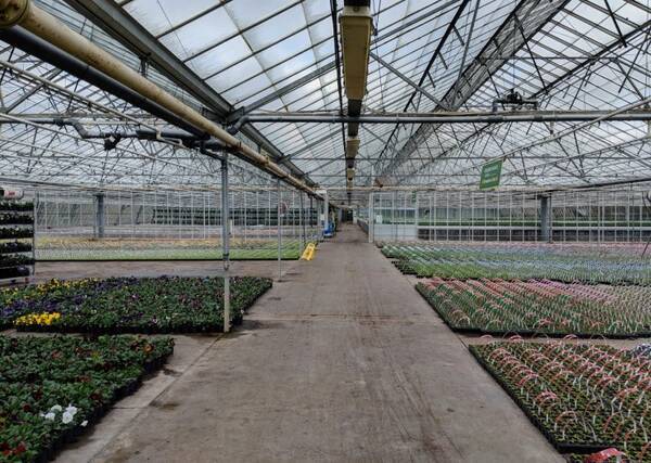 東京ドームの約2倍 ガーデニングの国イギリスのガーデンセンターはケタ違いだった 18年5月17日 エキサイトニュース