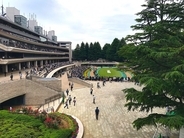 【魅惑のギャンブル場メシ】東京競馬場で味わいたい最高のホルモン焼き / 豚やの「牛ホルモン焼き」