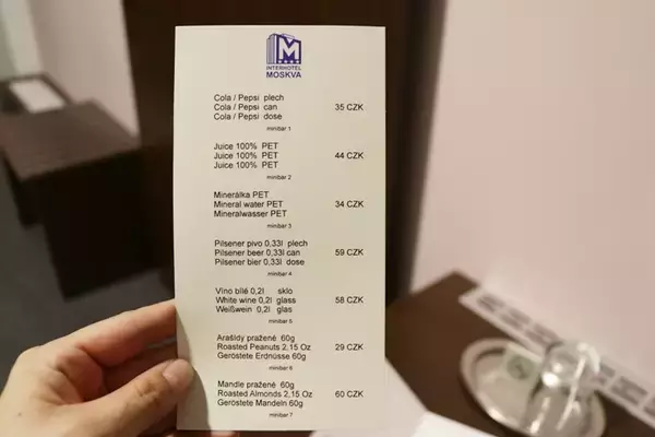 「チェコ南東部ズリーン（Zlin）最大のコングレスホテル「インターホテル モスクワ」」の画像