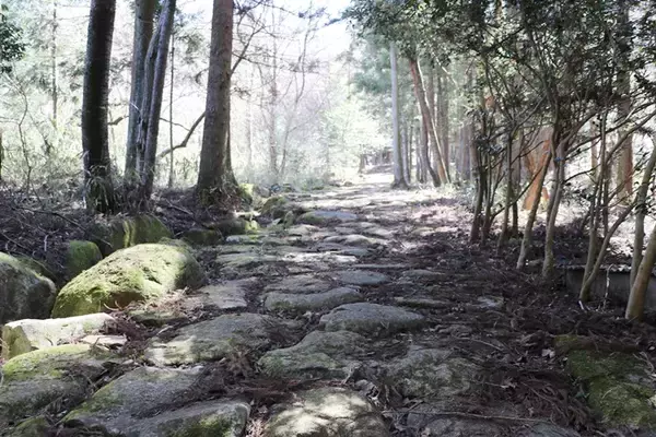 【岐阜・東美濃】大湫宿～大井宿、中津川宿～馬籠宿の史跡を訪ね、中山道を歩く